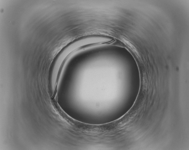 X0000089360485200707061053