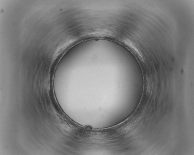 X0000089360486200707061053