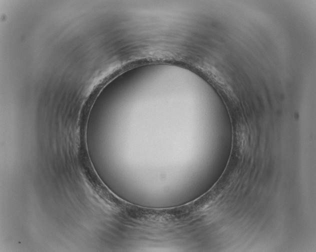 X0000089360488200707061053