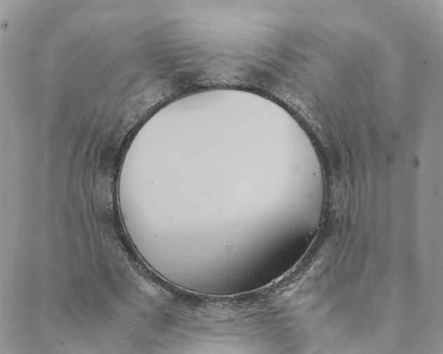 X0000089360489200707061053