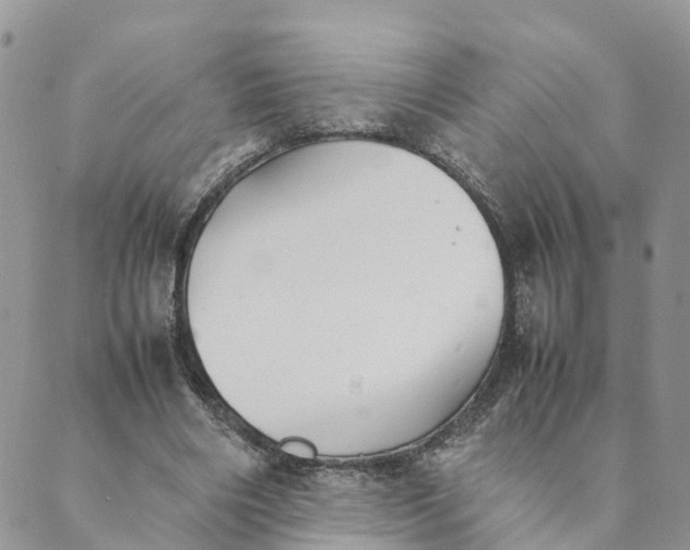 X0000089360490200707061053