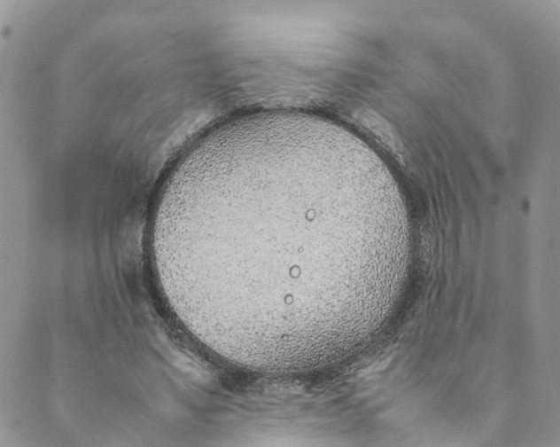 X0000089360491200707061053