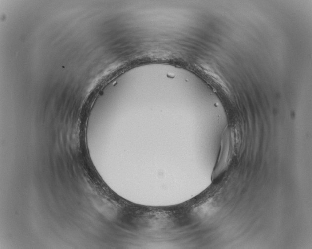 X0000089360492200707061053