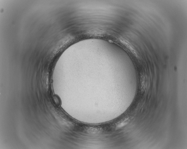 X0000089360494200707061053