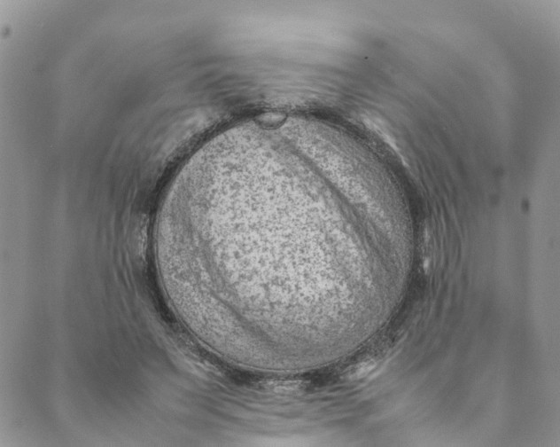 X0000089360495200707061053