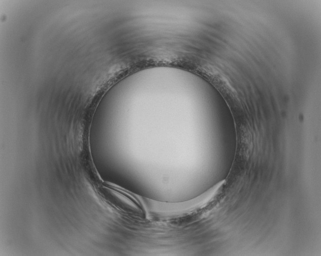 X0000089360496200707061053