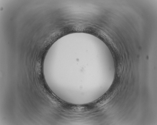 X0000089360497200707061053