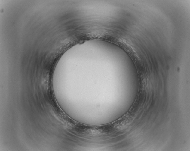 X0000089360498200707061053