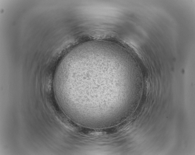 X0000089360499200707061053