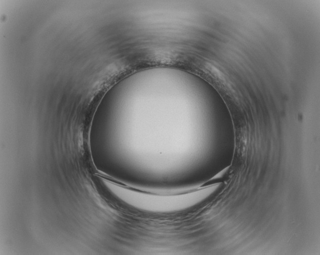 X0000089360500200707061053