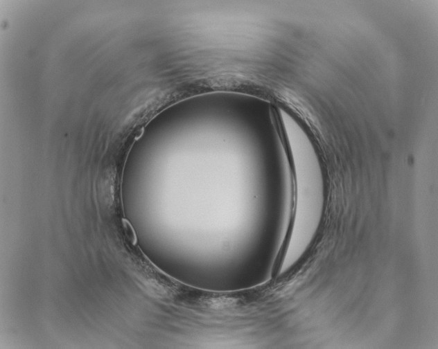 X0000089360501200707061053