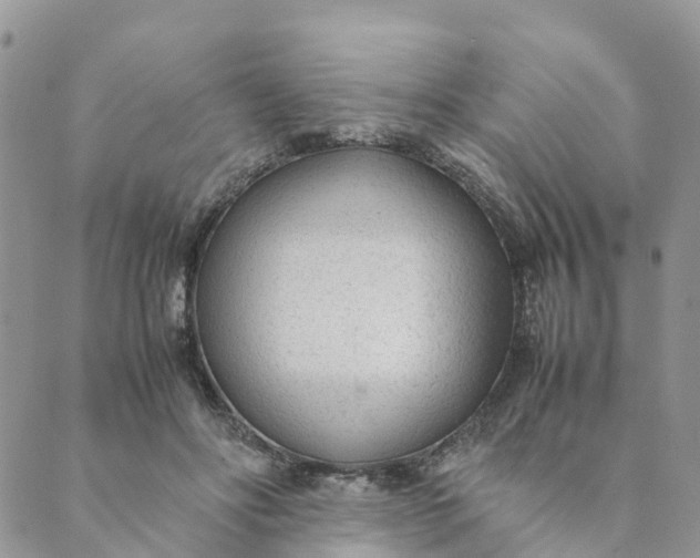 X0000089360502200707061053