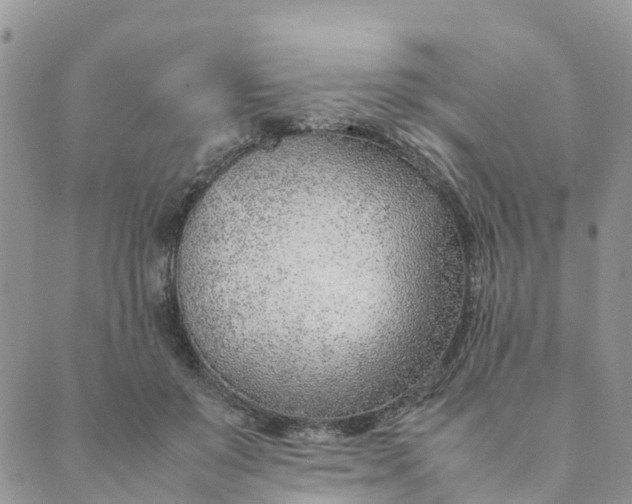 X0000089360503200707061053