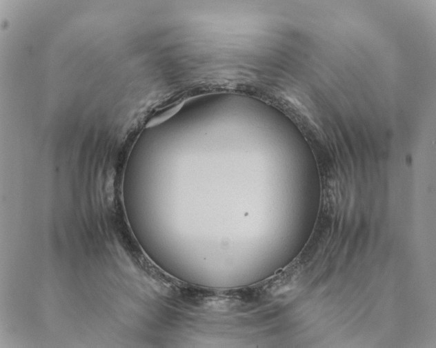 X0000089360504200707061053