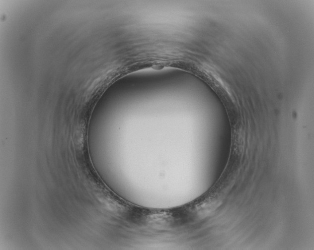 X0000089360505200707061053