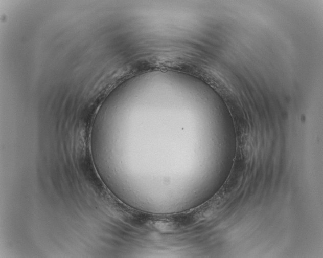 X0000089360506200707061053