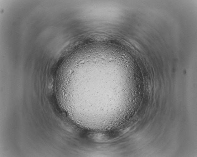 X0000089360507200707061053