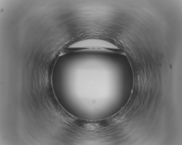 X0000089360508200707061053