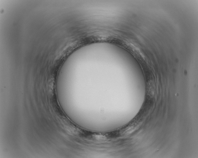 X0000089360509200707061053