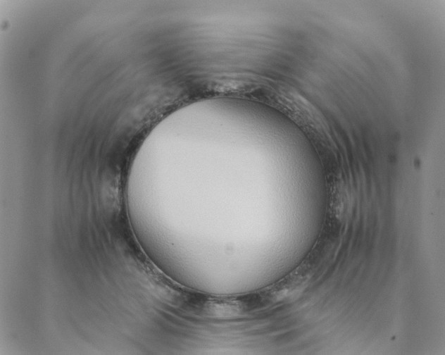 X0000089360510200707061053