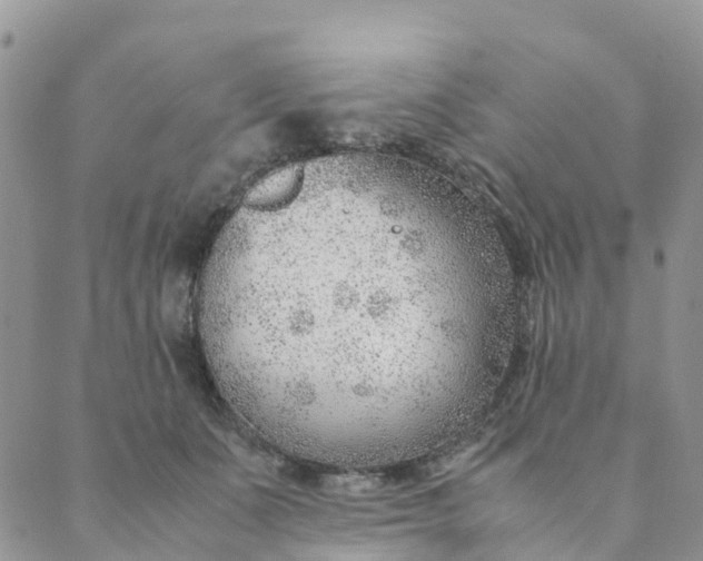 X0000089360511200707061053