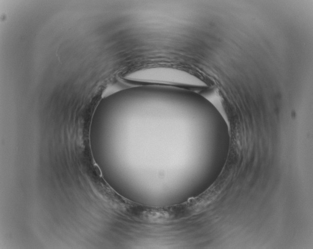 X0000089360512200707061053