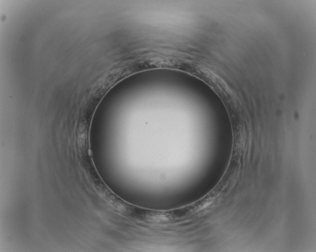 X0000089360513200707061052