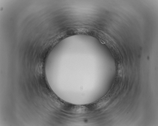 X0000089360514200707061052