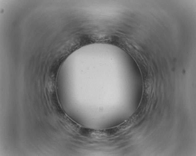 X0000089360515200707061052