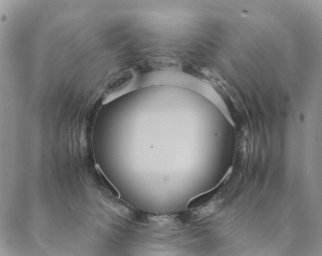 X0000089360516200707061052