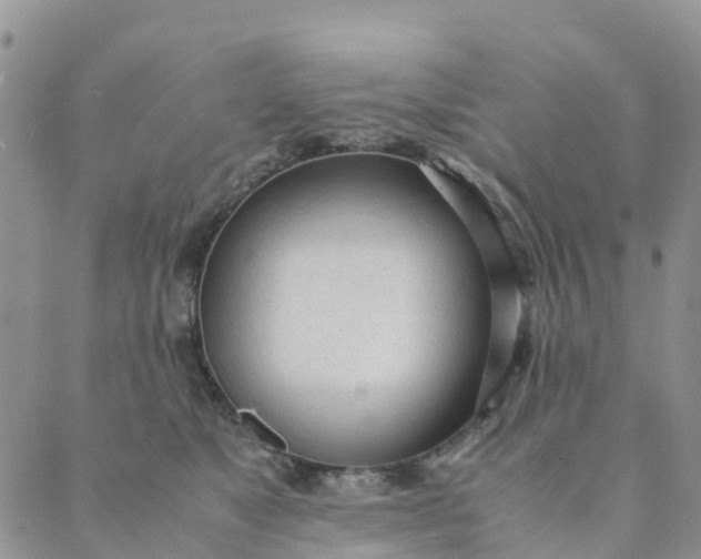 X0000089360517200707061052