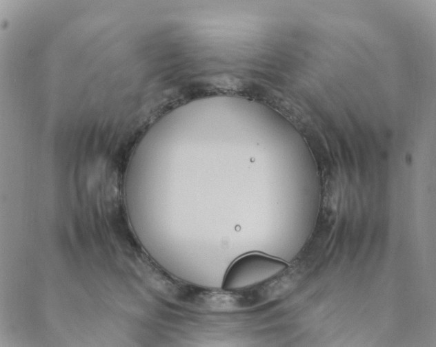 X0000089360518200707061052