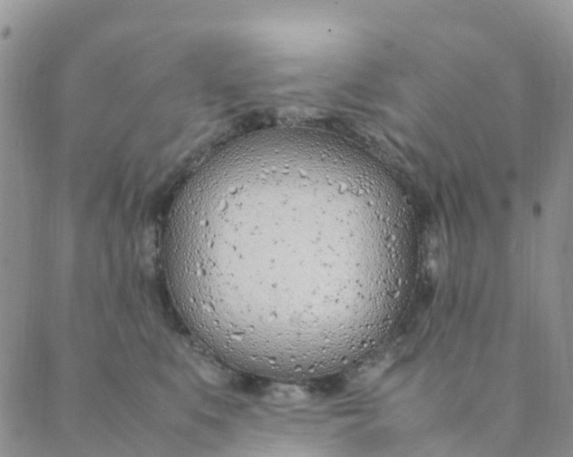 X0000089360519200707061052