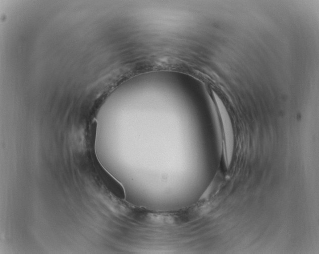 X0000089360520200707061052