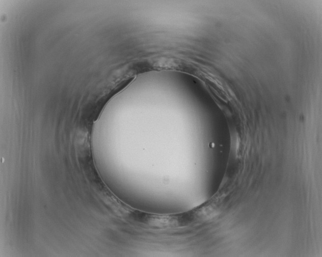 X0000089360521200707061052