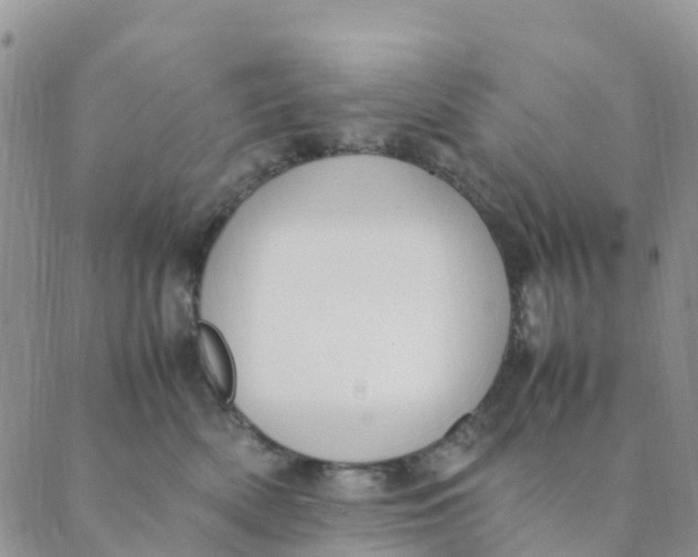 X0000089360522200707061052