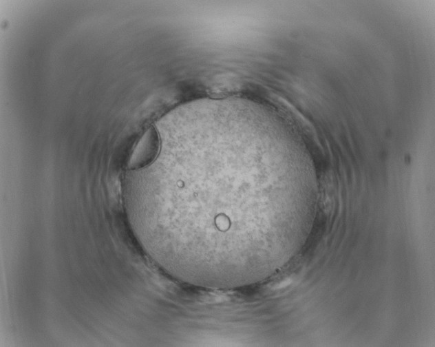 X0000089360523200707061052