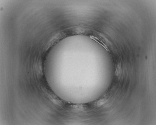 X0000089360524200707061052