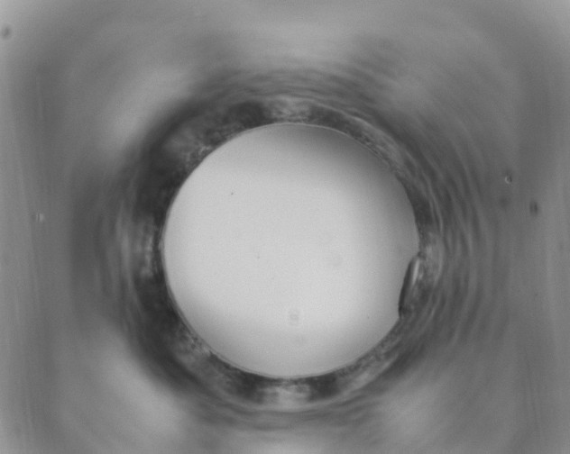 X0000089360525200707061052