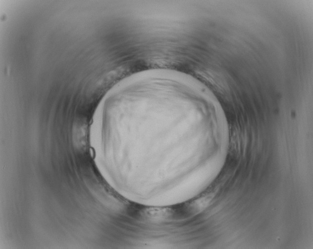 X0000089360526200707061052