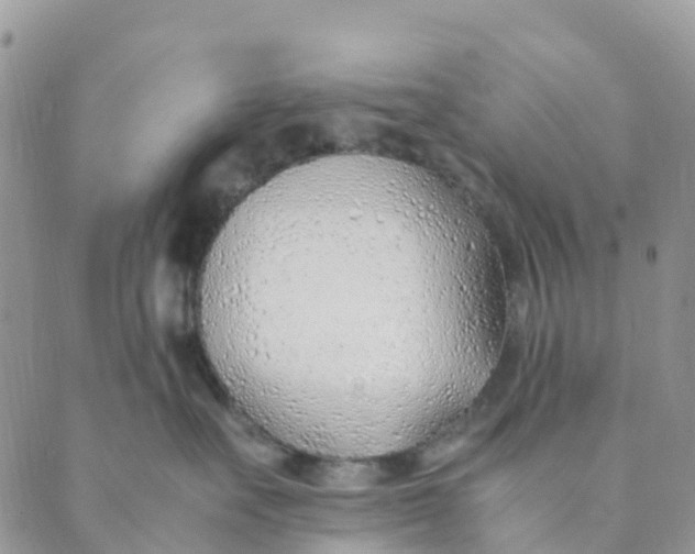 X0000089360527200707061052