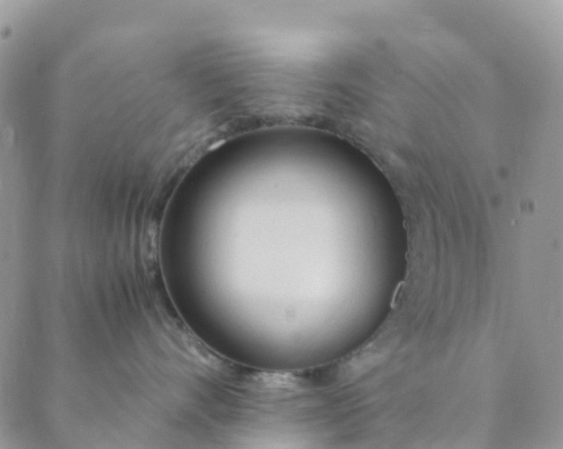 X0000089360528200707061052