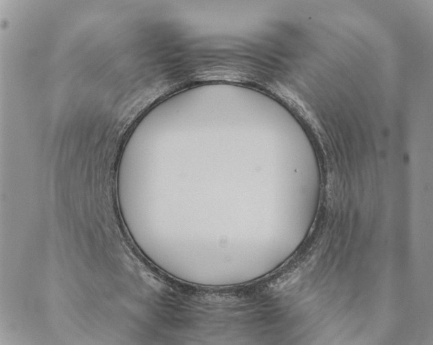 X0000089360529200707061051