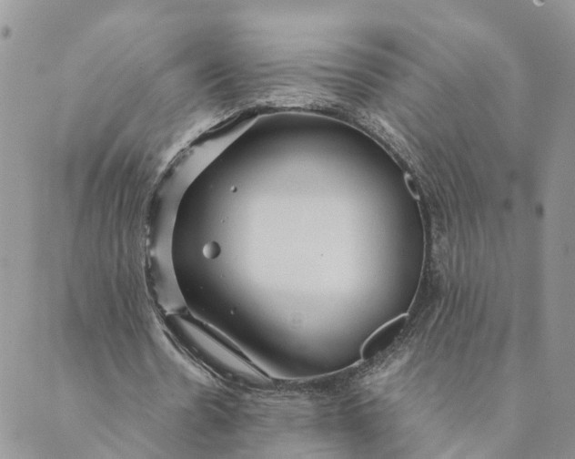 X0000089360530200707061051