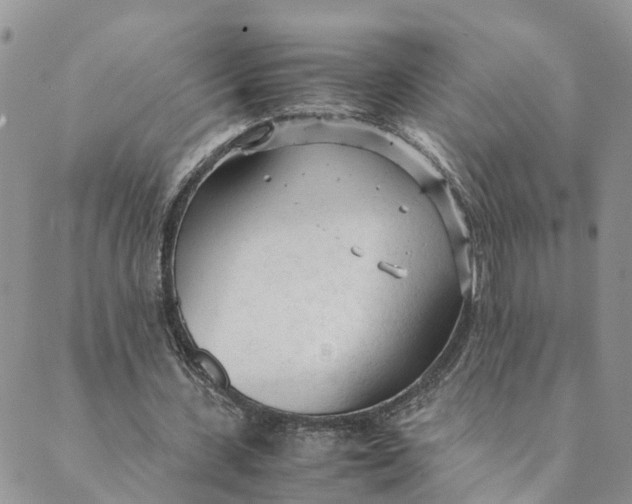 X0000089360531200707061052