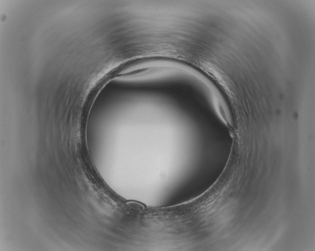 X0000089360532200707061052