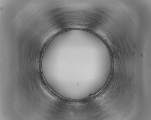 X0000089360533200707061052