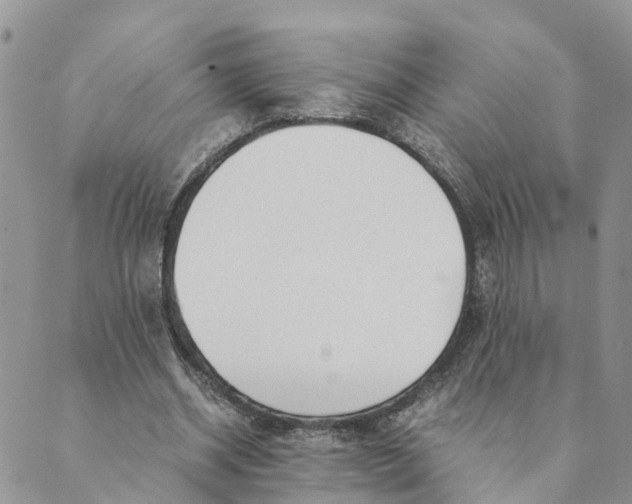 X0000089360534200707061052