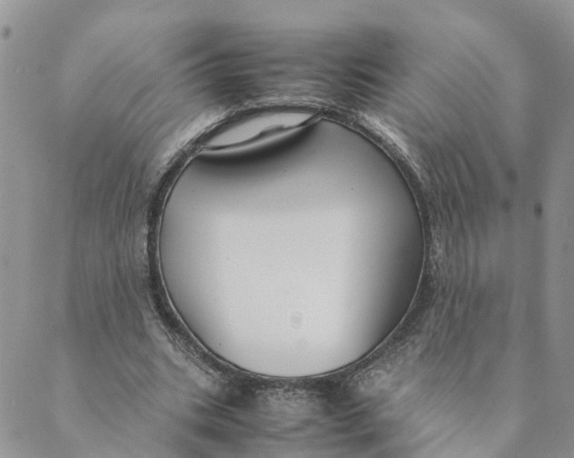 X0000089360535200707061052