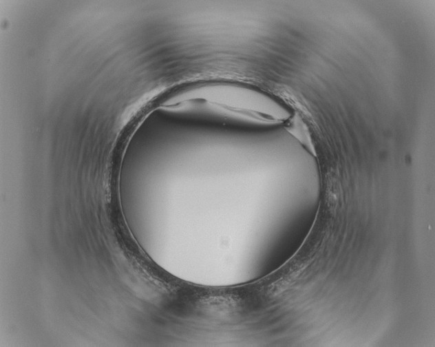 X0000089360536200707061052